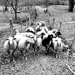 La Penita By #cherrygredos * El Arenal (Castile and Leon)
