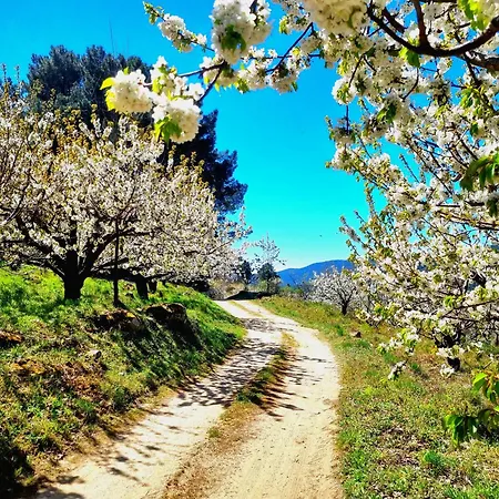 Appartamento La Penita By #cherrygredos *