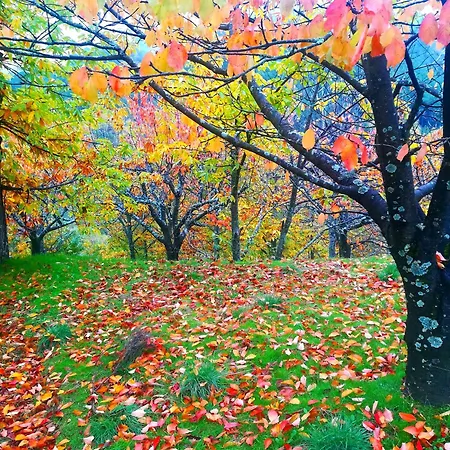 La Penita By #cherrygredos El Arenal (Castile and Leon)