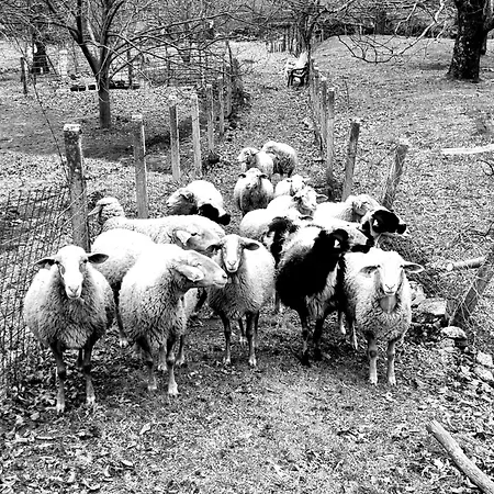 La Penita By #cherrygredos * El Arenal (Castile and Leon)