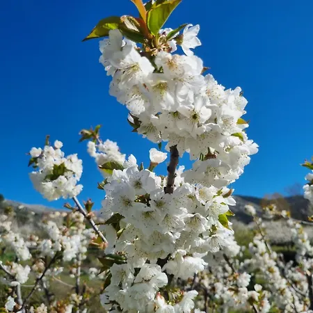 Апартаменты La Penita By #cherrygredos