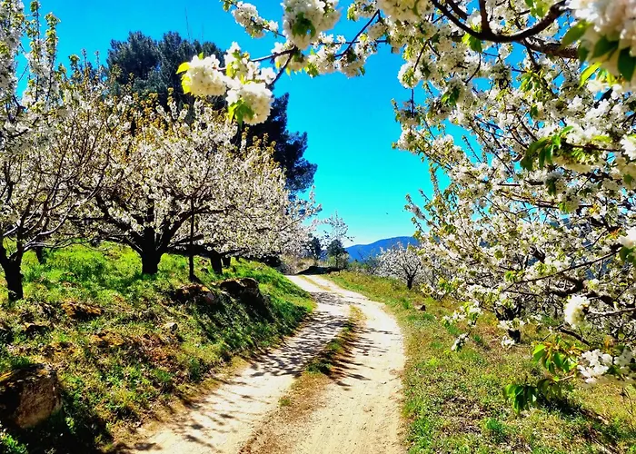 Lejlighed La Penita By #cherrygredos *