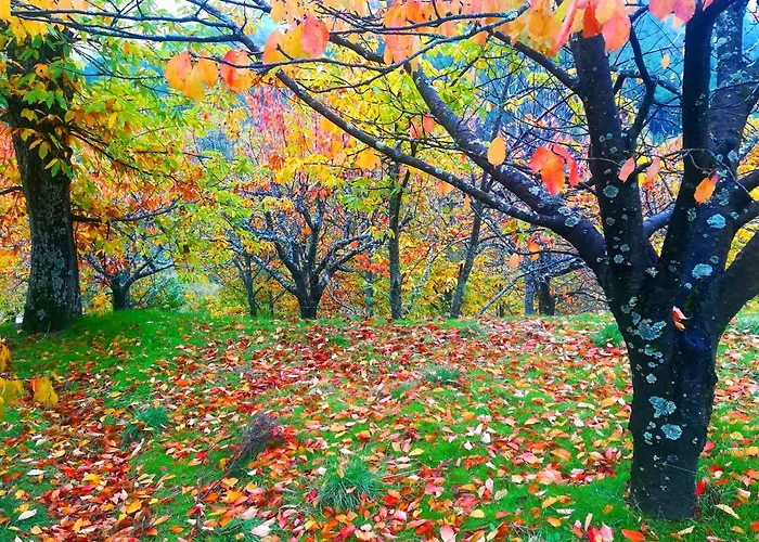 La Penita By #cherrygredos El Arenal (Castile and Leon)