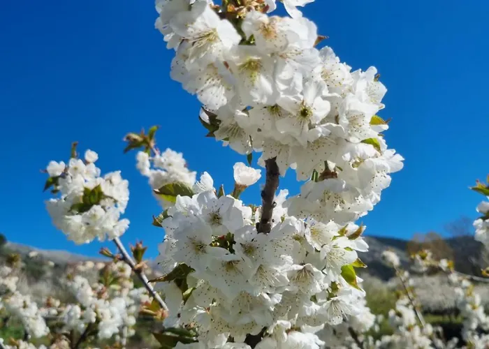 Lejlighed La Penita By #cherrygredos